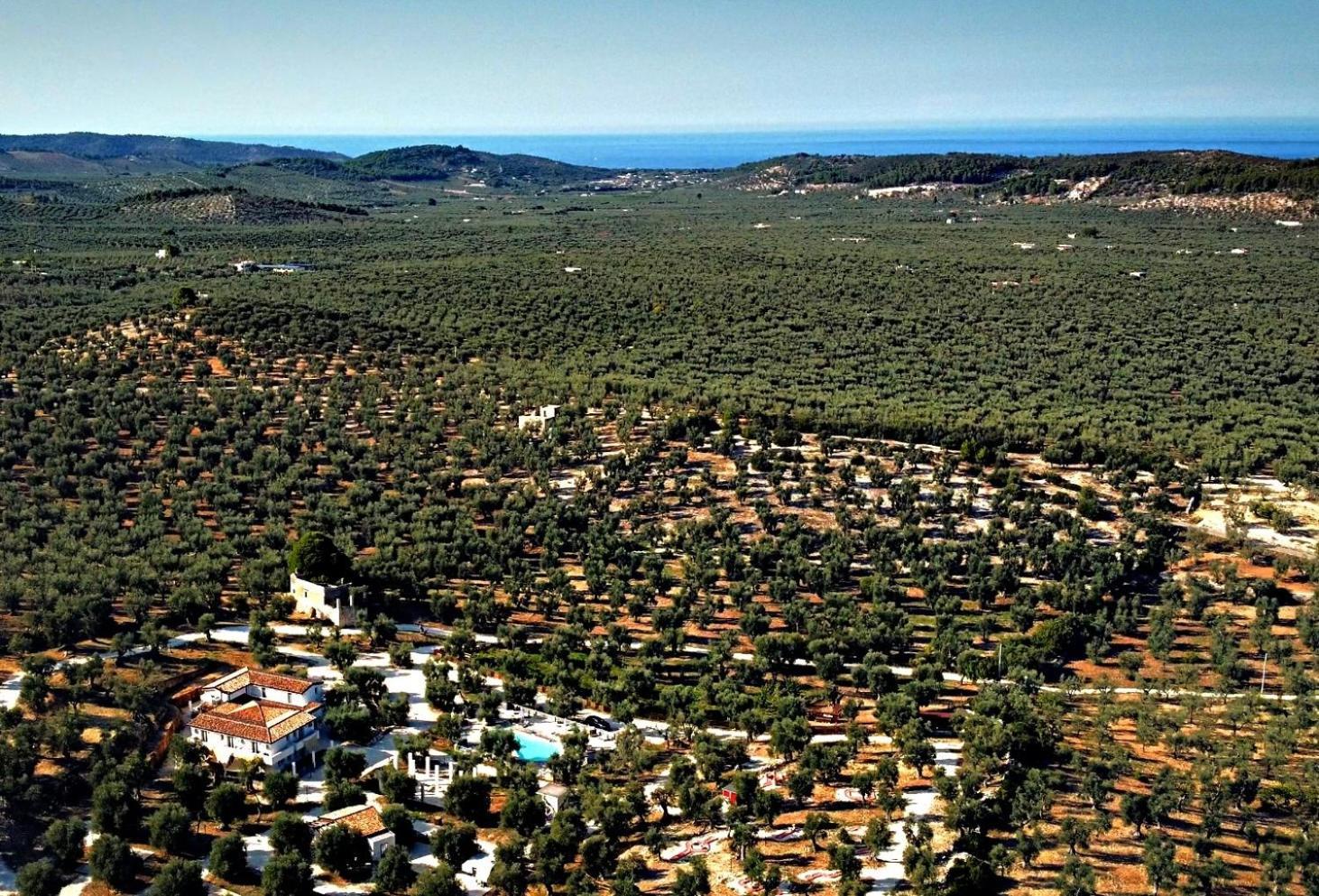 Agricampeggio - Solo Piazzole Vuote - Agriturismo Passione Natura Вьесте Экстерьер фото